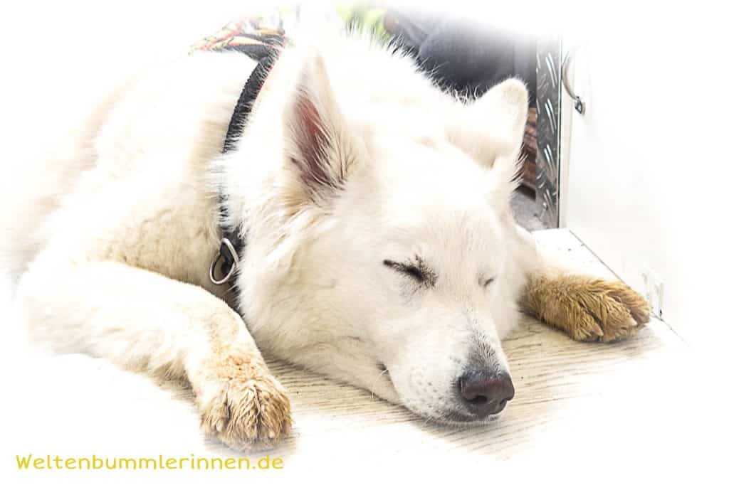 2018-01-04 14-43-34 wp