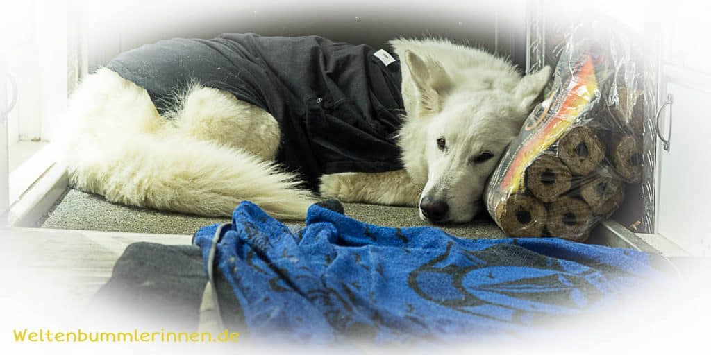 2018-01-06 18-46-17 wp