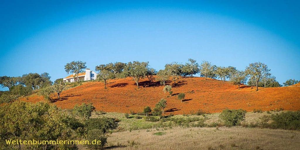 2018-01-14 10-01-15 wp