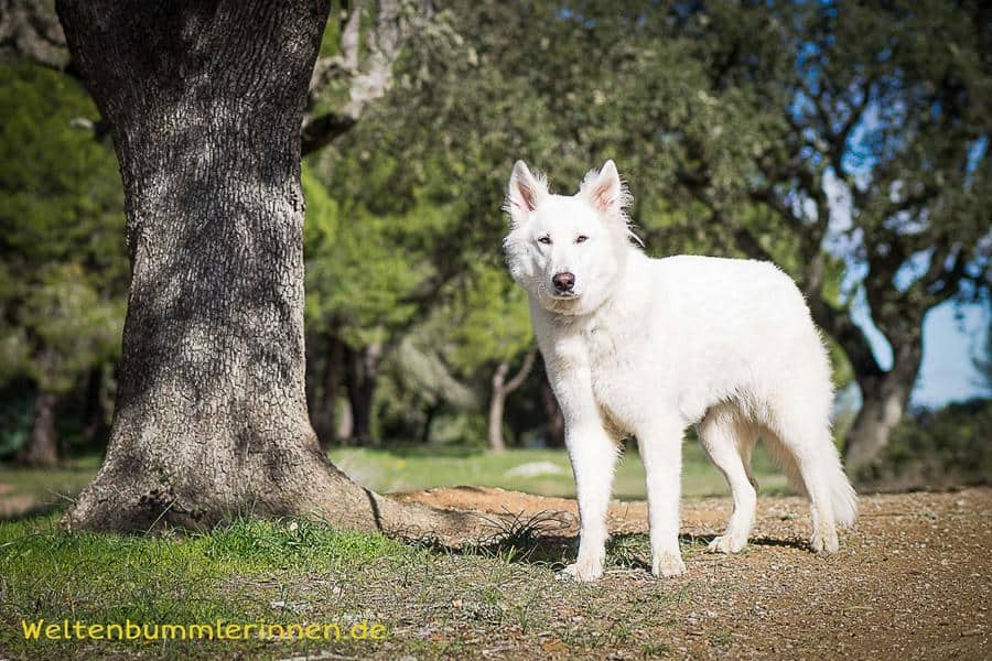 2018-01-14 11-39-47 wp