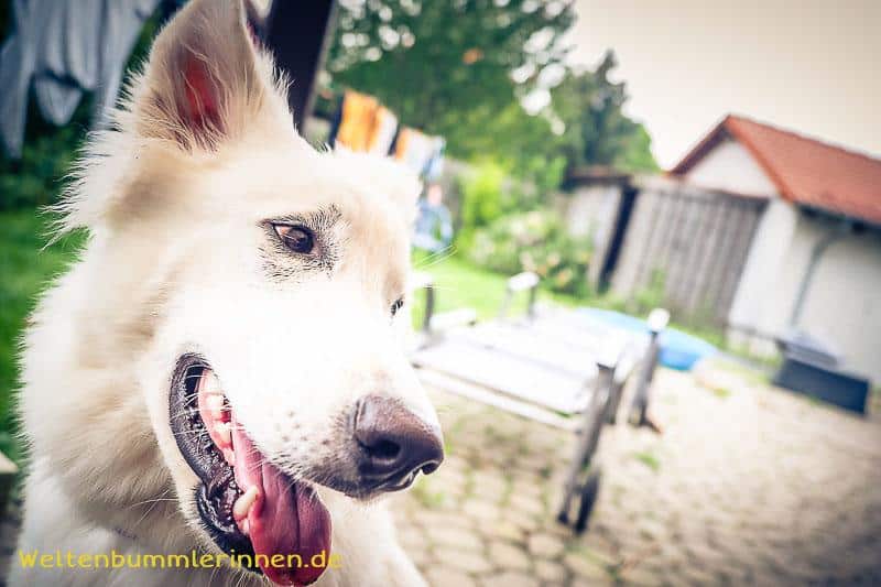 Chillen, kleben, Leitung legen – Fienchen wächst und gedeiht :-)