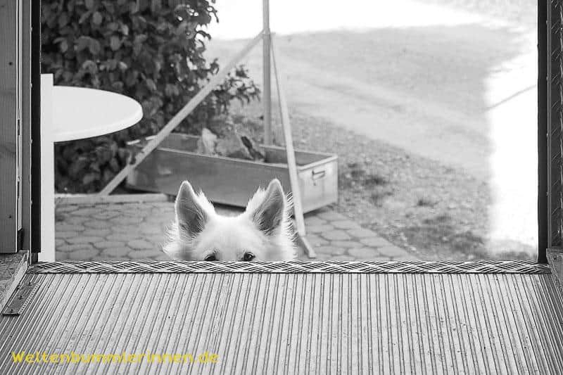 2017-09-13 16-50-14 wp