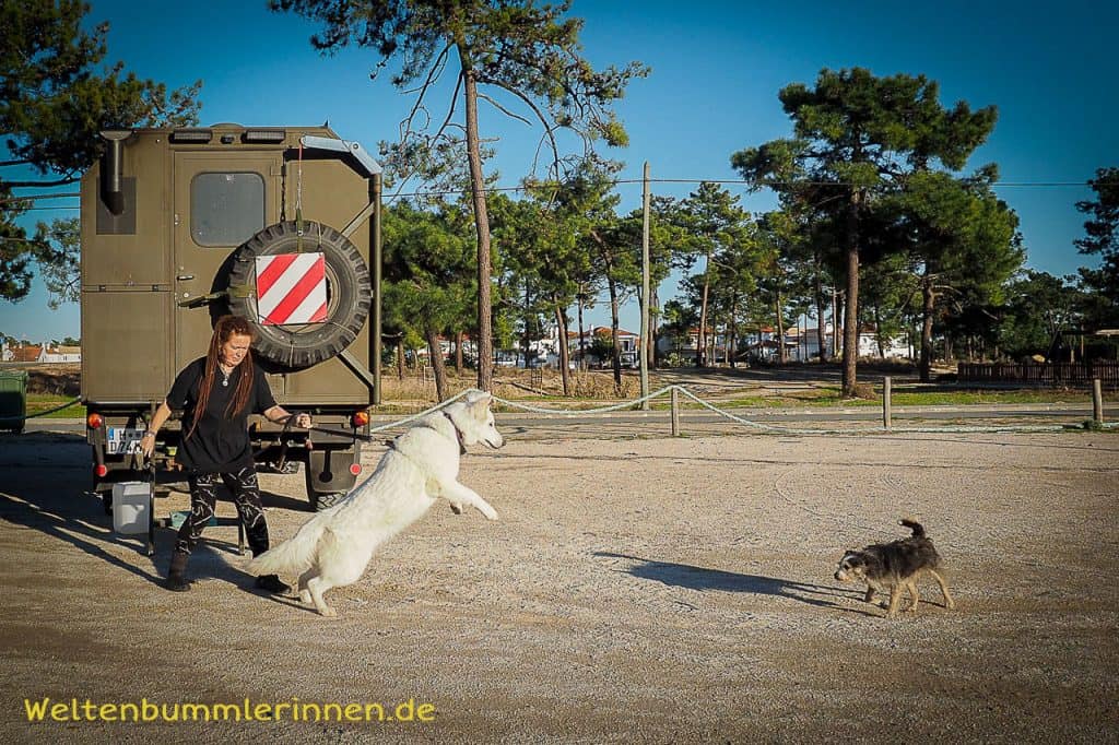 2017-12-17 15-57-30 wp allzeit-bereift.de