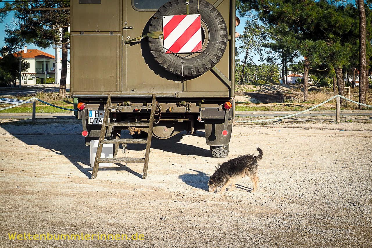 Antonio gibt nicht auf