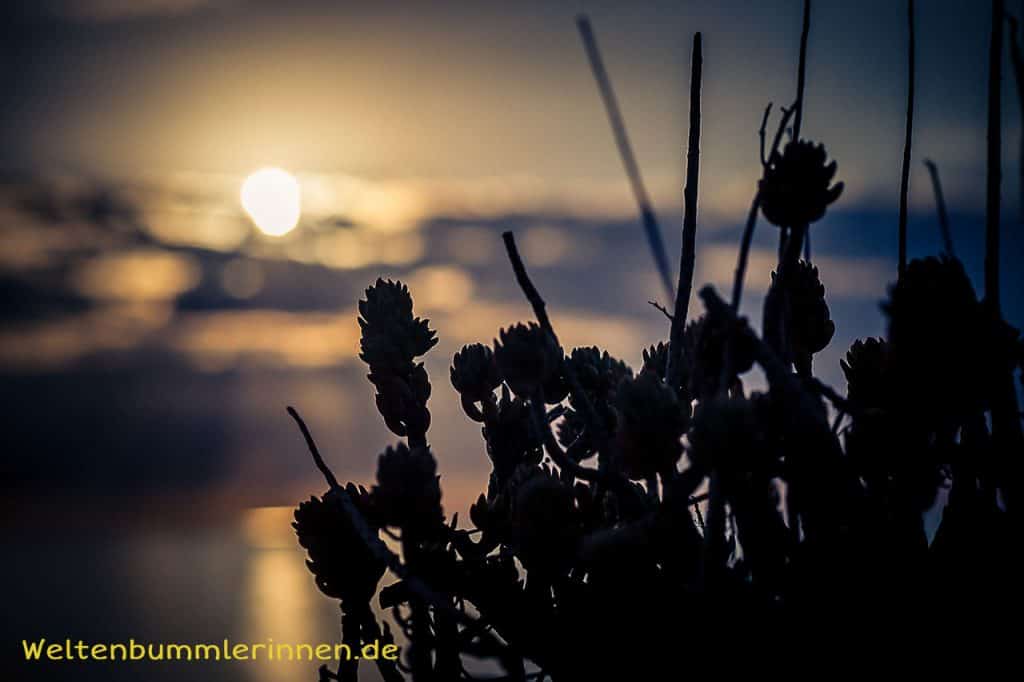 2017-12-24 16-35-15 wp allzeit-bereift.de