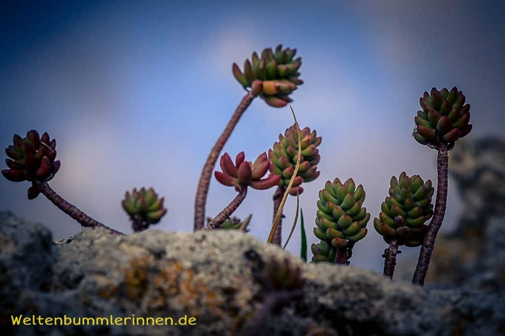 2017-12-24 16-37-06 wp allzeit-bereift.de