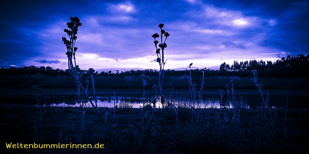 2017-12-26 17-13-30 wp allzeit-bereift.de