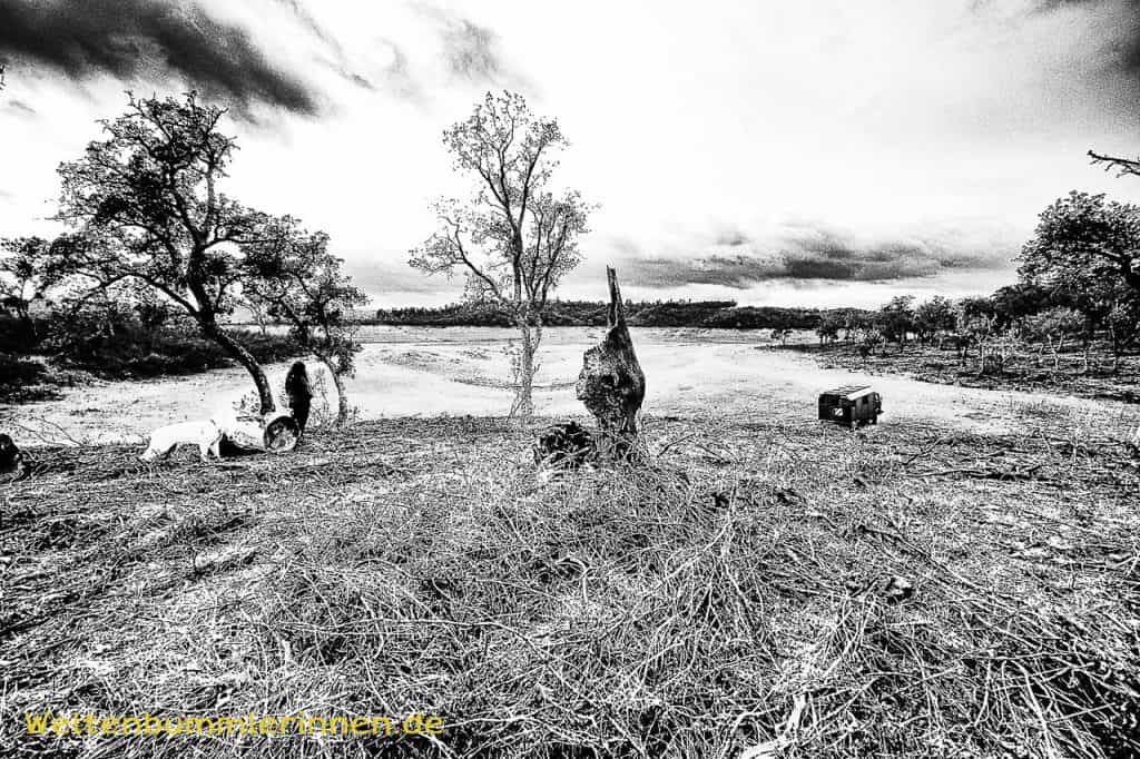 2017-12-26 17-30-59 wp allzeit-bereift.de