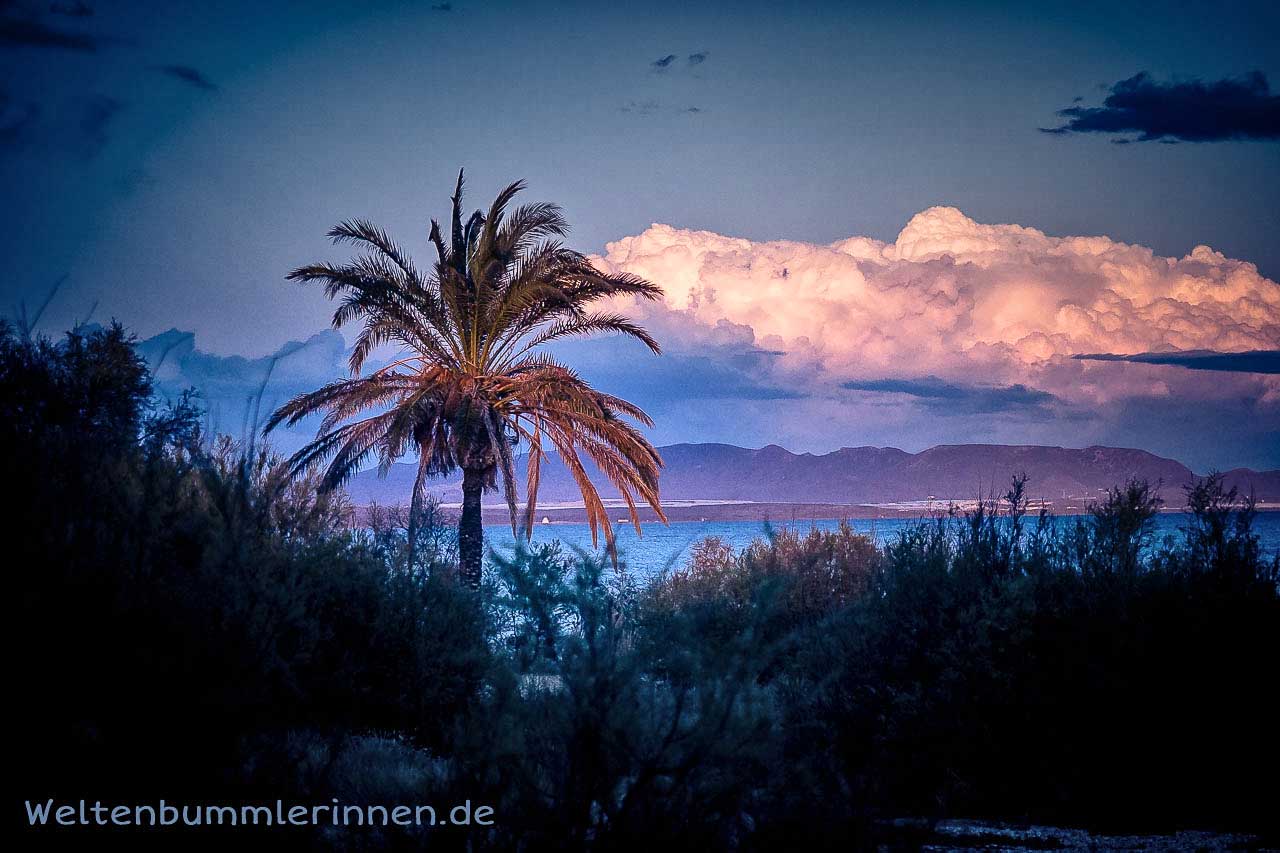 Weggeschickt und zugestopft