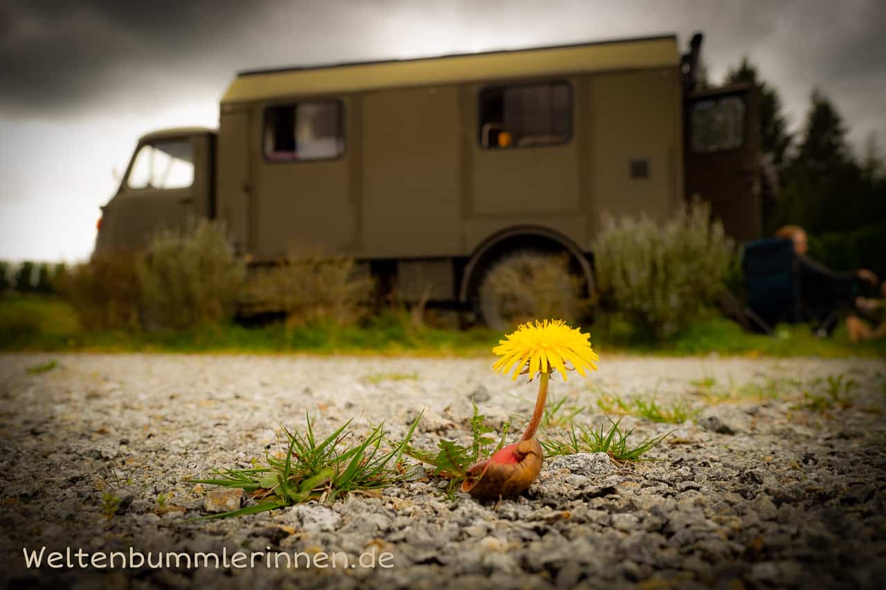 Steyr 680 genannt Fienchen im Hintergrund