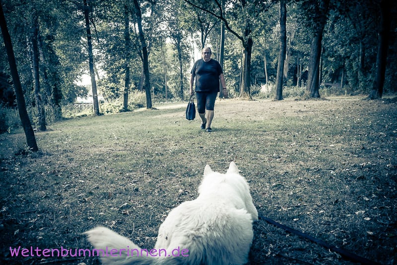 2018-07-30 19-04-05-X-800