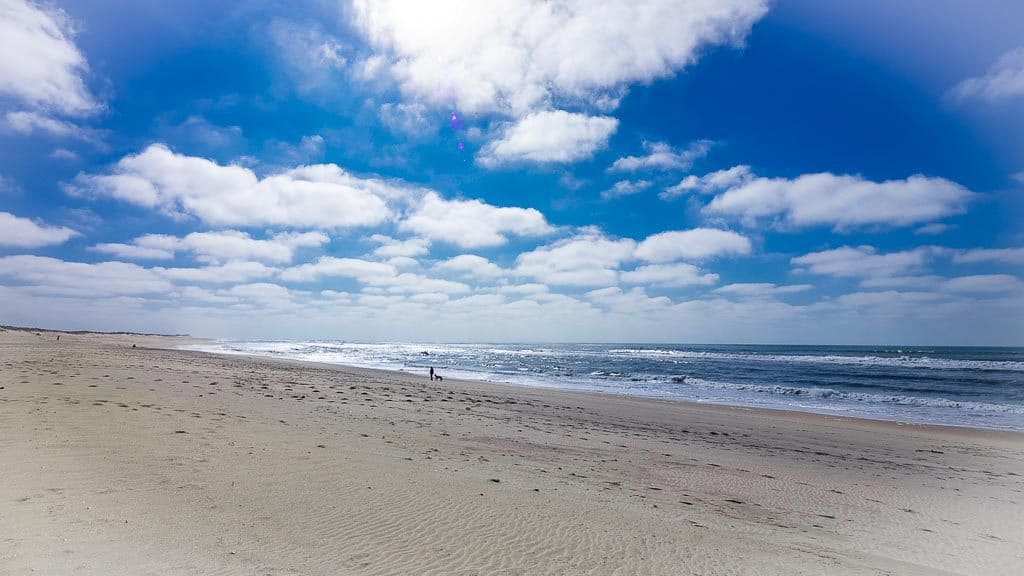 2019-03-16 16-40-08-1024