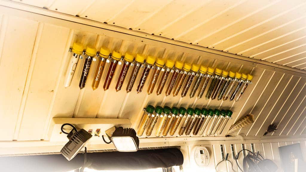 2019-03-24 16-44-49-1024 So sind die Gewürze in unserem ersten Wohnmobil untergebracht. Praktischerweise genau über der Küche.