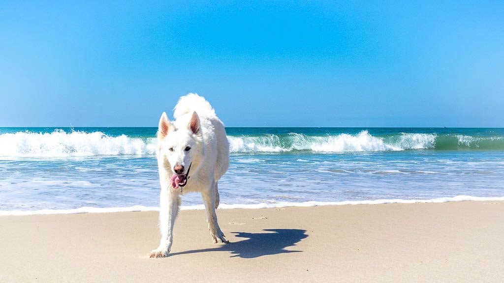 2019-03-27 13-27-59-1024