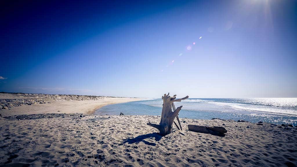 2019-03-29 17-43-17-1024