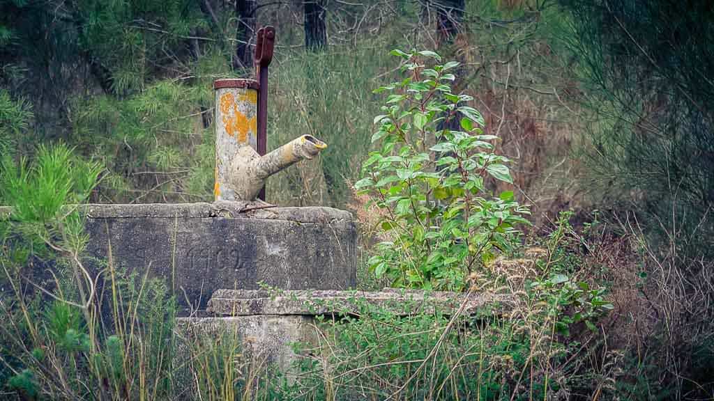 Ja Ja Nein – Servicewüste Deutschland