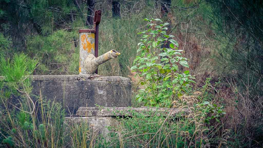 Servicewüste Deutschland