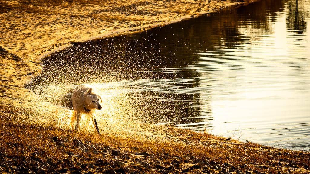 2019-01-01 16-33-42-1024