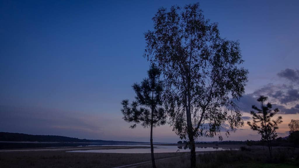 2019-02-27 18-22-07-1024