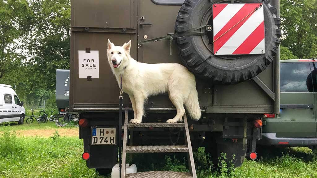 2019-06-22 19-46-25-1024