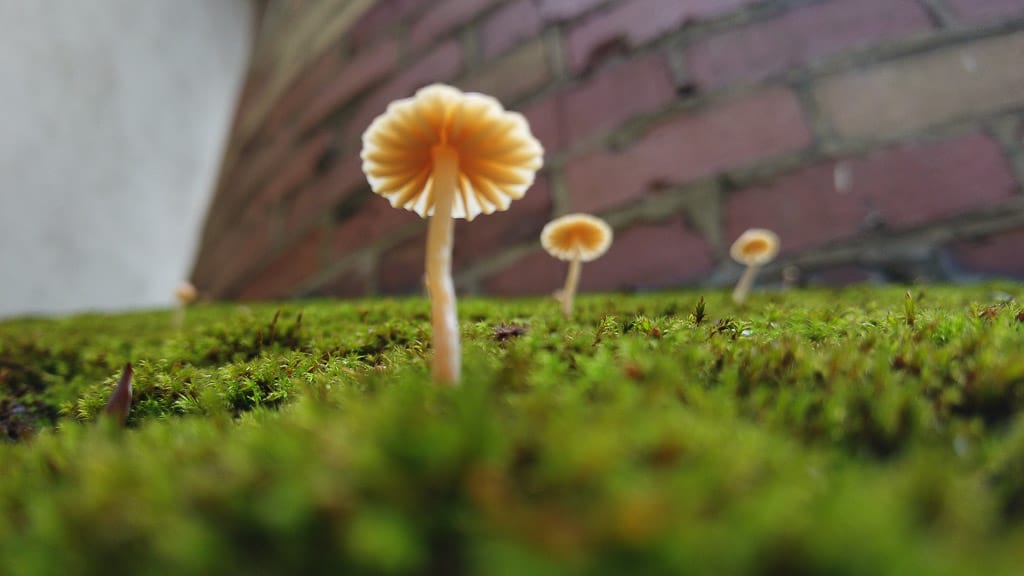 2019-11-11 14-08-17-1024 Blogbeiträge Allzeit Bereift