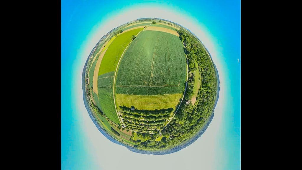 Little-Planet-Black-Pearl