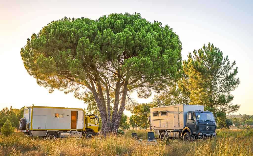 eiwola-und-black-pearl-am-montargil-stausee Eiwola von amumot.de und Black Pearl von allzeit-bereift.de unter einer Pinie am Barragem de Montargil