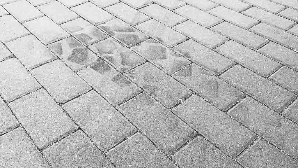 Vom Stellplatz gehts wieder weiter