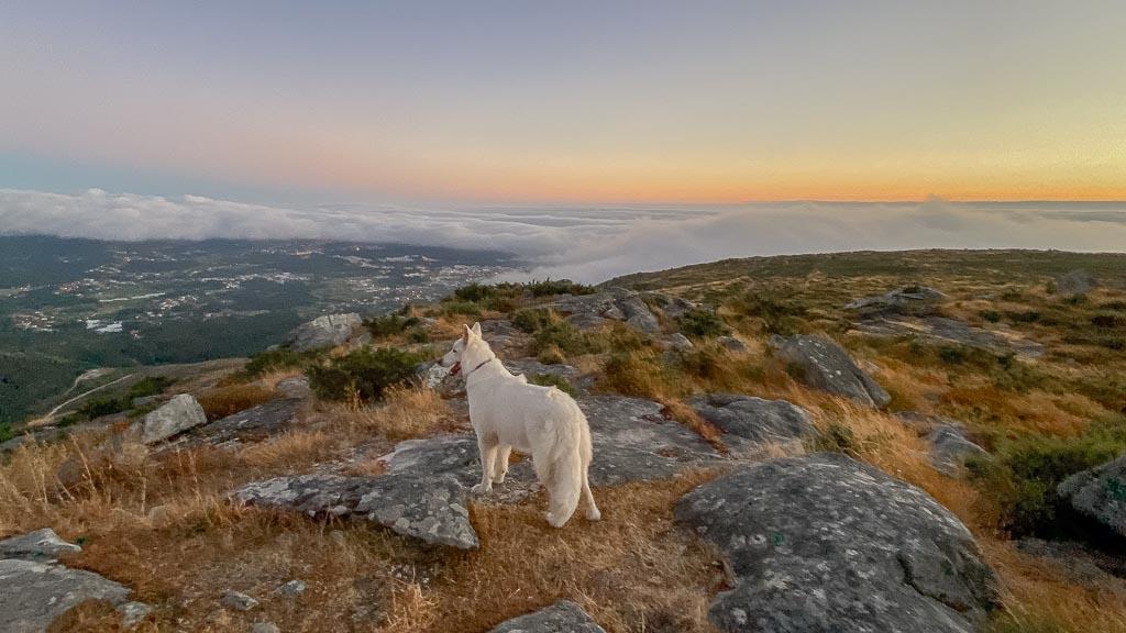 Abwärts gehts immer