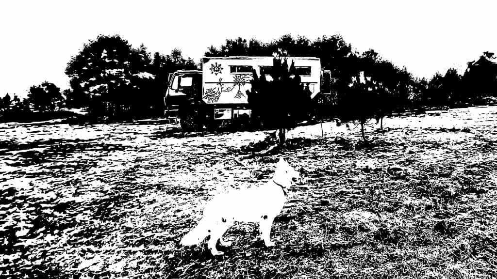 Abwärts gehts immer