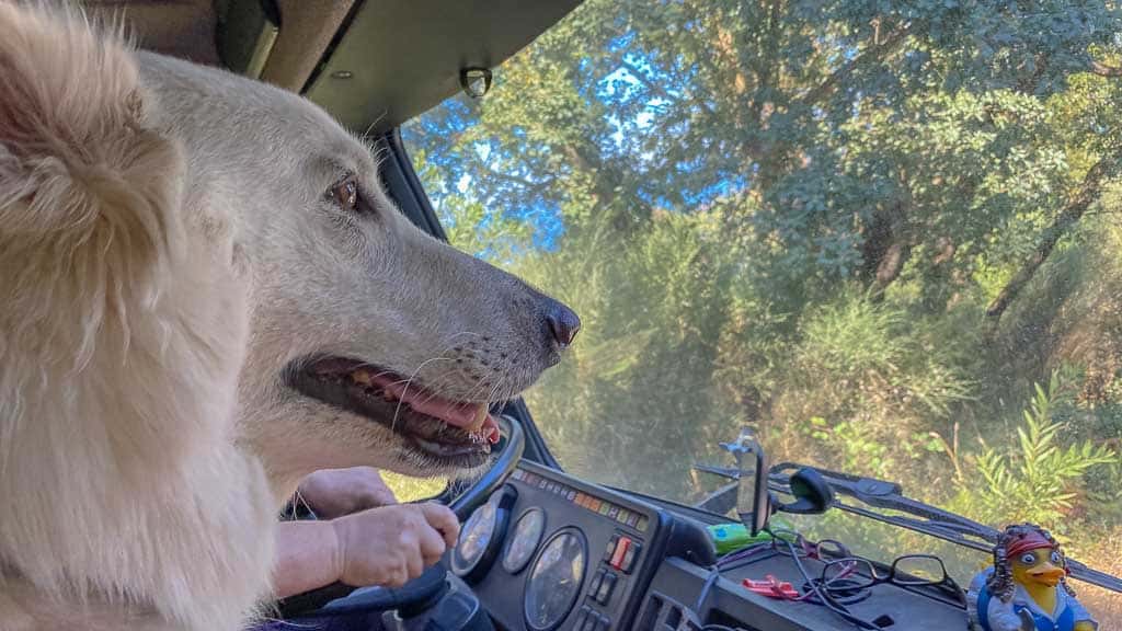 Abwärts gehts immer