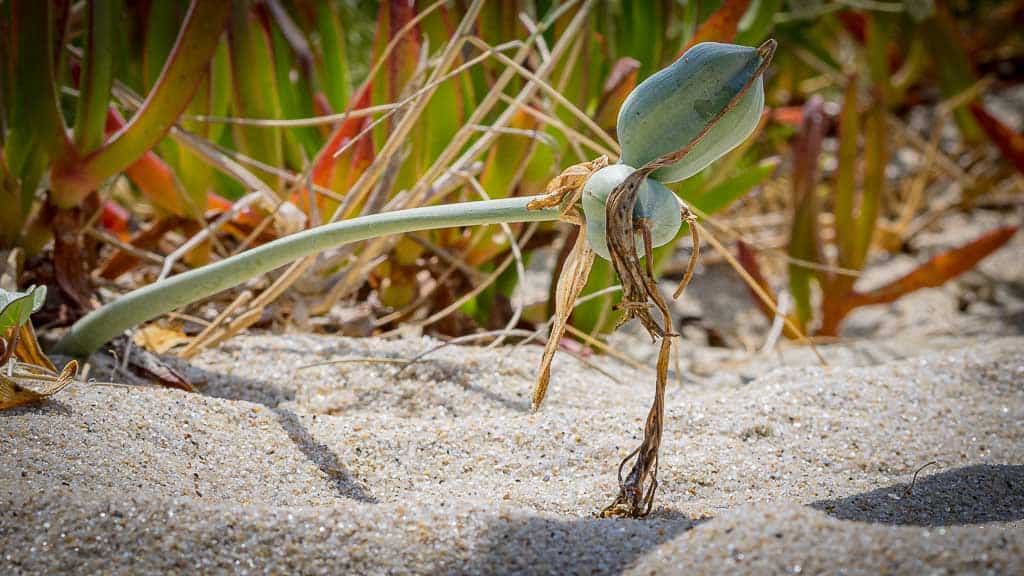 Abwärts gehts immer