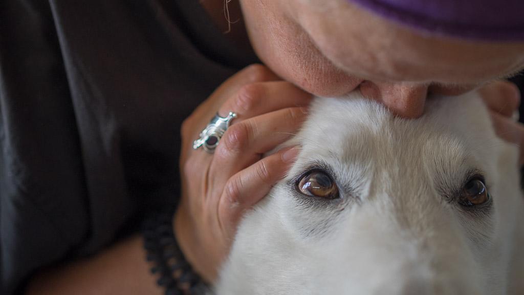 Abwärts gehts immer