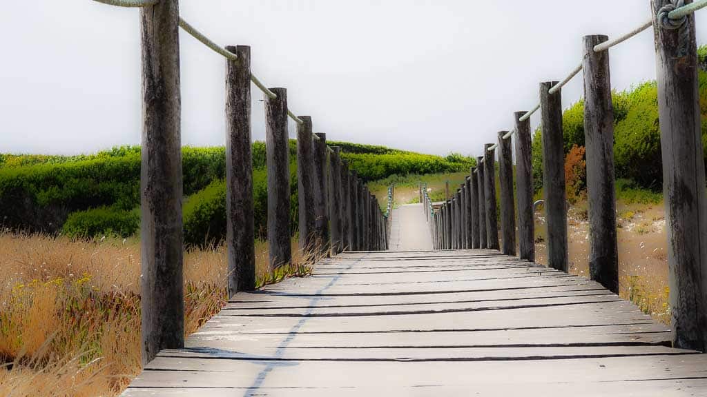 Abwärts gehts immer