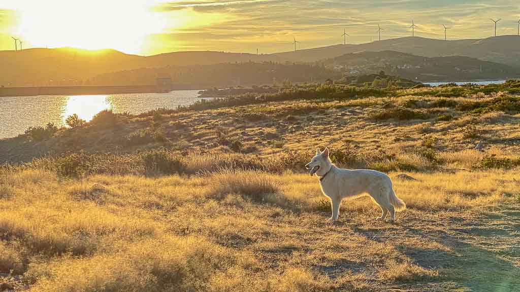 2020-09-07 19-28-02-1024 Vom Wolkensee zum Feuerlöschteich