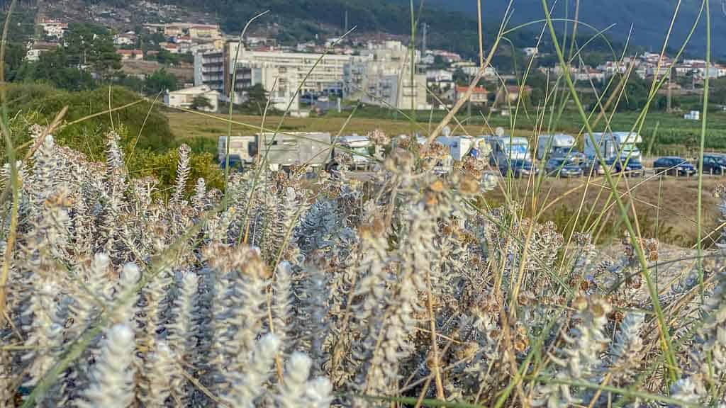 2020-09-12 18-15-30-2-1024 Vom Feuerlöschteich zurück ans Meer