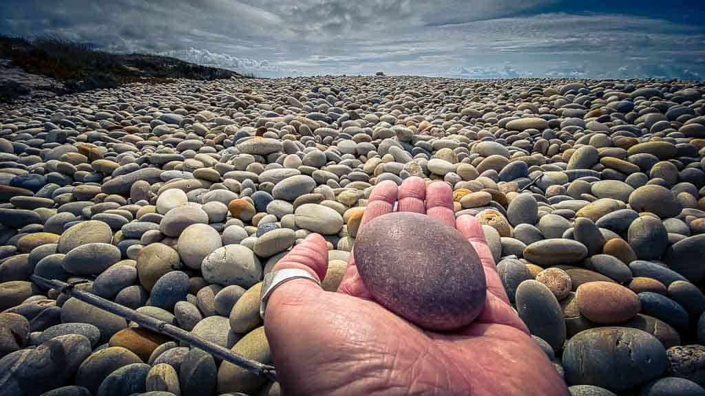 2020-09-20 13-11-47-1024 Vom Feuerlöschteich zurück ans Meer