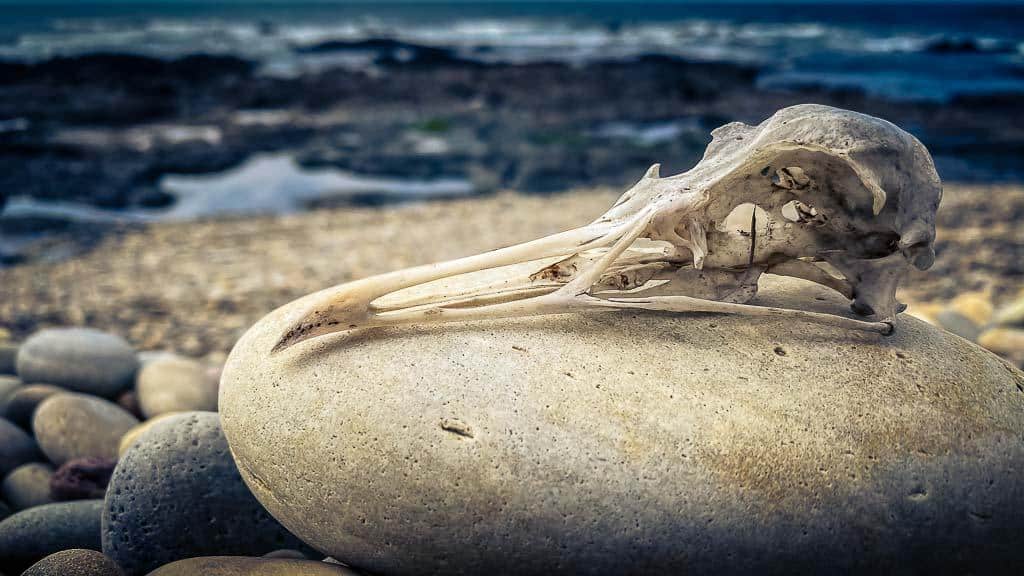 2020-09-20 13-28-20-2-1024 Vom Feuerlöschteich zurück ans Meer
