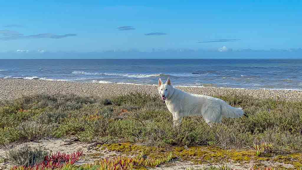 2020-09-27 10-00-37-1024 Vom Feuerlöschteich zurück ans Meer