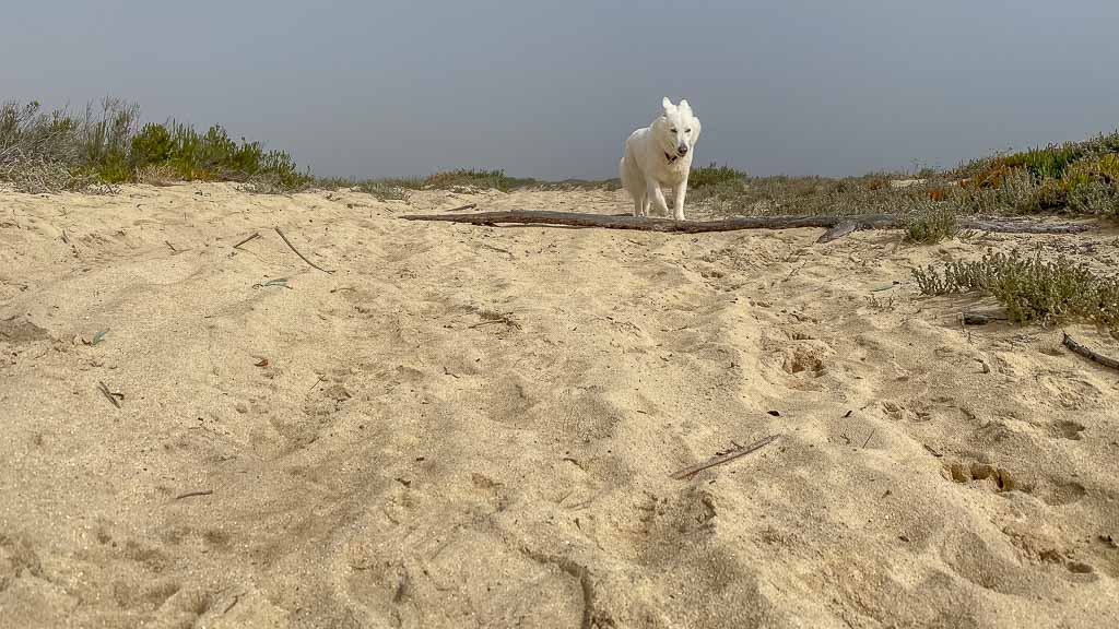 Costa de Lavos, Portugal