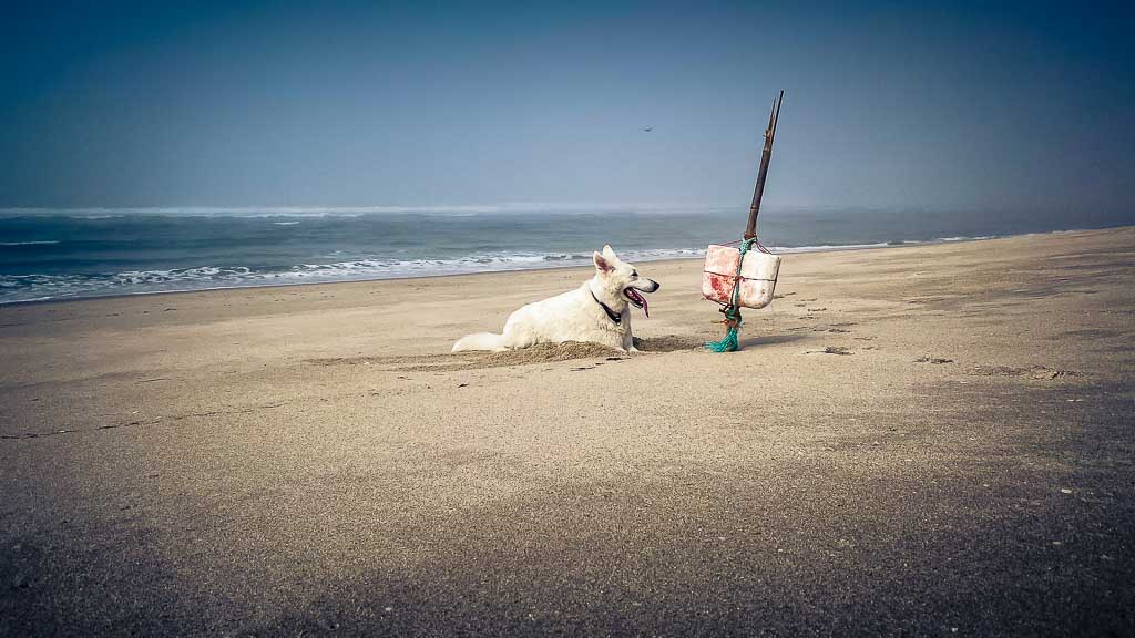 Costa de Lavos, Portugal