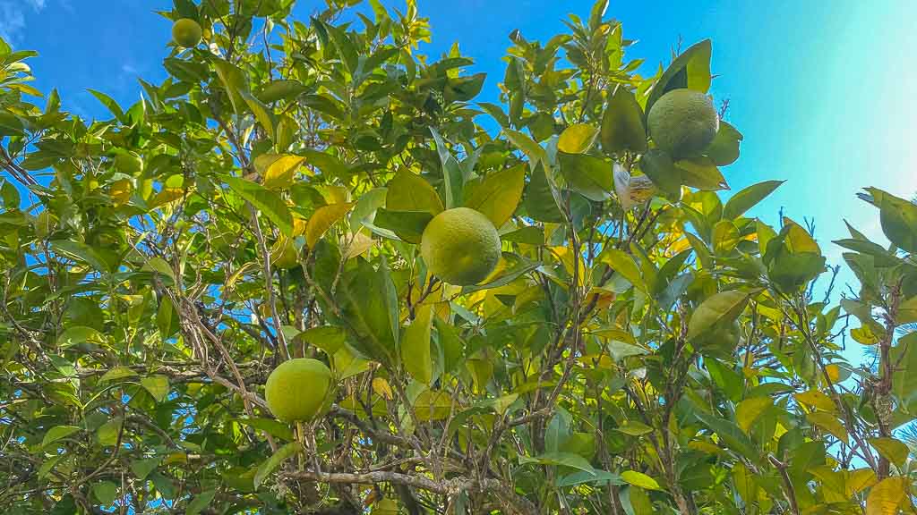 Portugal - Unterwegs im Nirgendwo
