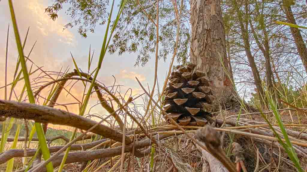 Portugal - Unterwegs im Nirgendwo