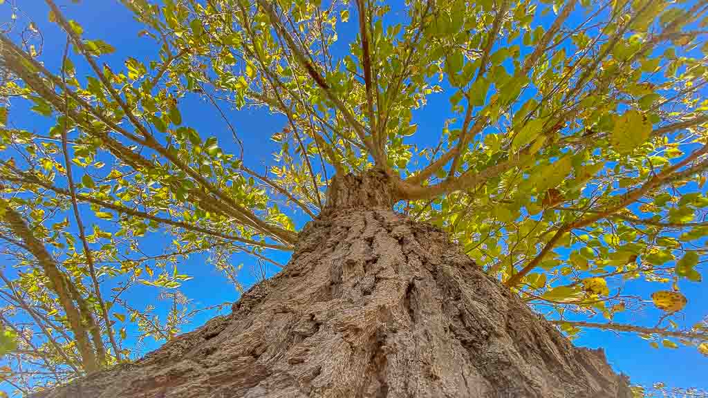 Portugal - Unterwegs im Nirgendwo
