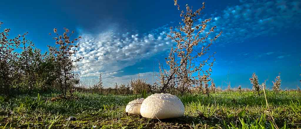 Stellplatzhopping mit der Black Pearl von Allzeit-Bereift