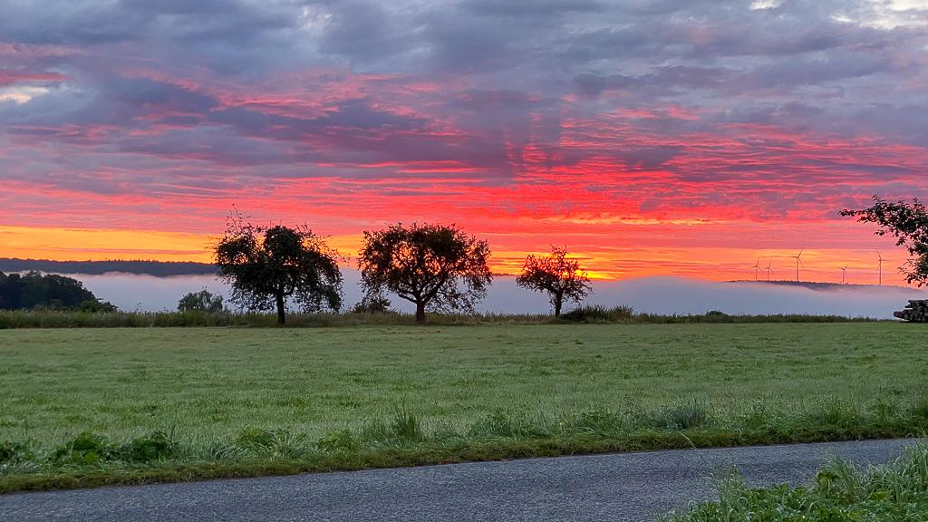Abenddämmerung-in-der-Nähe-von-Hasloch Abendrot mit Bäumen im Hintergrund beim Roadtrip Normandie