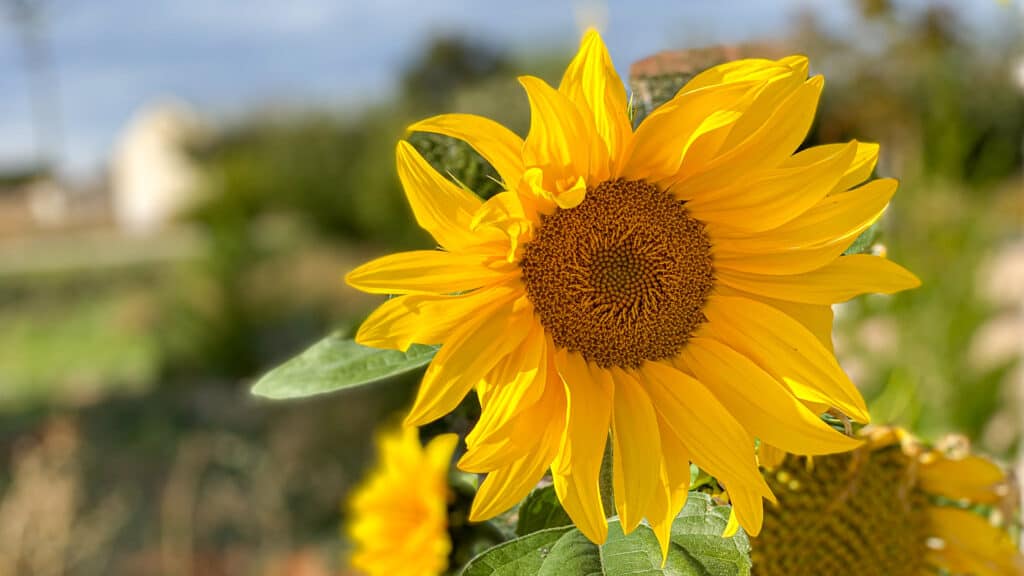 Wir reisen zu unserem Winterziel Portugal
