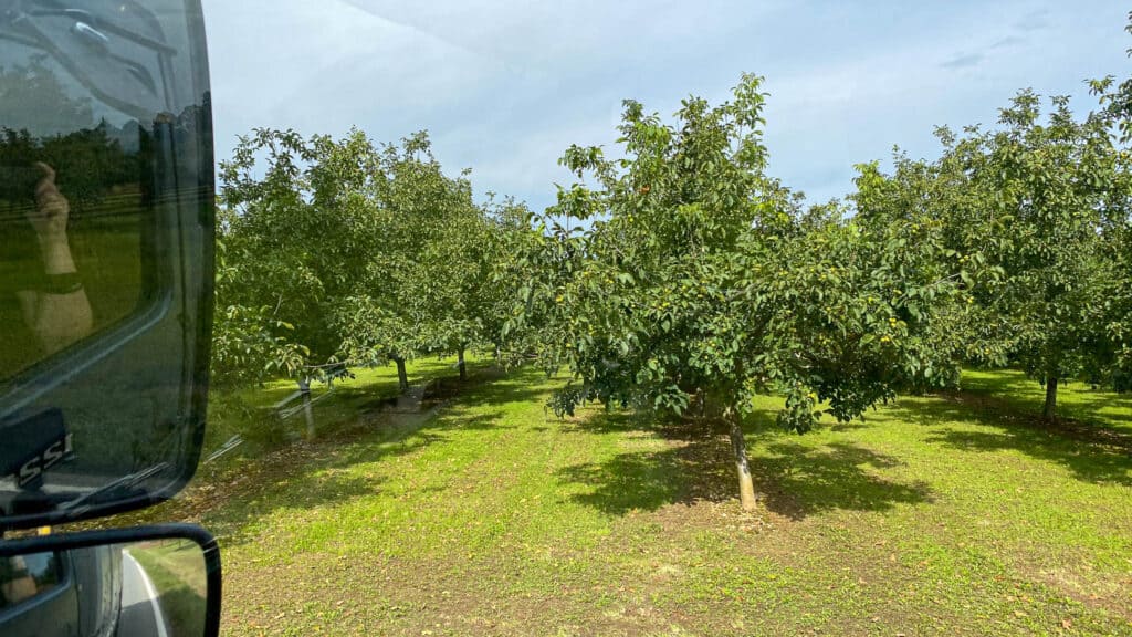 Haine mit Walnussbäumen in Frankreich