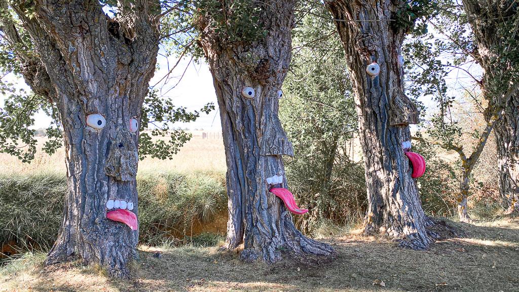 Unfreundliche-baeume Drei Bäume mit herausgestreckter Zunge