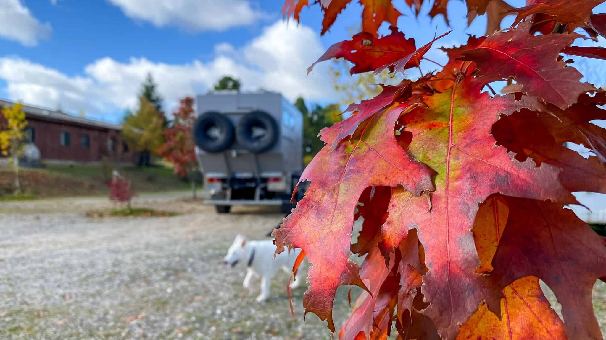 Kreuz und quer durch Portugal